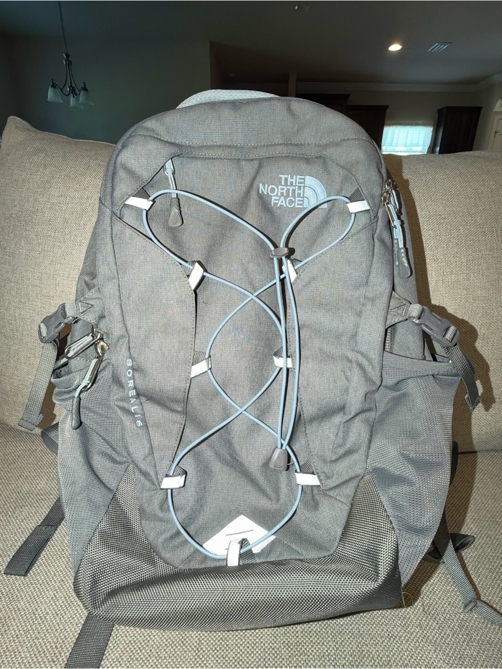 The North Face Gray Backpack with Front Bungee and Side Pockets